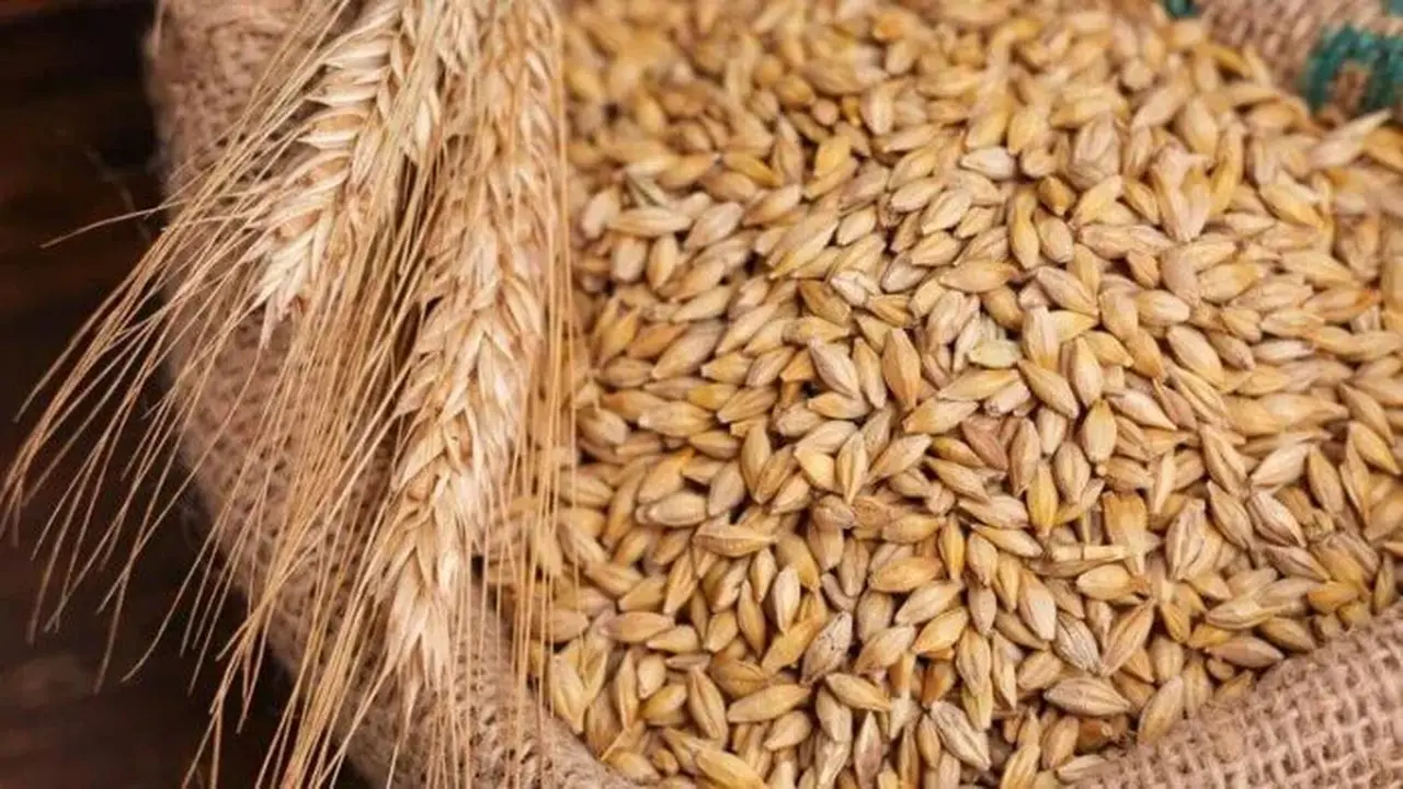 سعر طن الأرز الشعير يشهد تغييرات جديدة اليوم في السوق